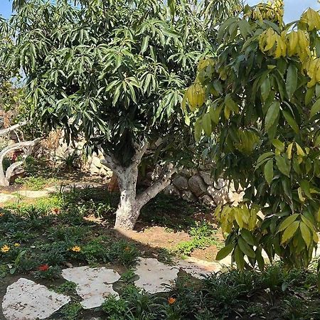 Willa אחוזת היניבים Yaniv Estate Nurit Zewnętrze zdjęcie