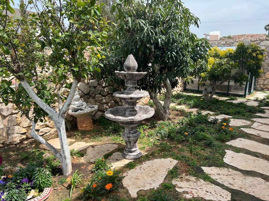 Willa אחוזת היניבים Yaniv Estate Nurit Zewnętrze zdjęcie